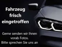 Neu Skoda Scala Monte Carlo 150 PS (110 kW) 2026 Velvetrotmet. Kleinwagen