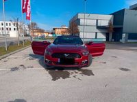 gebraucht Ford Mustang 2,3 EcoBoost CABRIO/CANADA/XENON/LEDER/AUT/TÜV neu