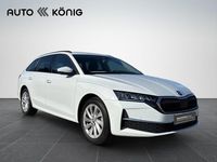 Gebraucht Skoda Octavia Selection 150 PS (110 kW) 2025 Weiß Kombi