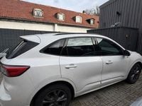Gebraucht Ford Kuga ST-Line 120 PS (88 kW) 2023 Weiß SUV
