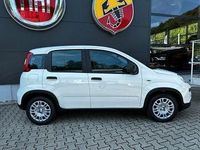 Neu Fiat Panda Icon 65 PS (47 kW) 2026 Weiß Limousine