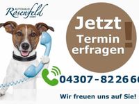 Gebraucht VW T6 150 PS (110 kW) 2017 Silber Van