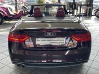 gebraucht Audi A5 Cabriolet 2.0 TDI S-Line, 2.Hand, Leder, Navi