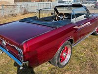 Gebraucht Ford V8 200 PS (147 kW) 1967 Rot Cabrio