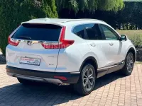 Gebraucht Honda CR-V Executive 145 PS (106 kW) 2023 Weiß SUV