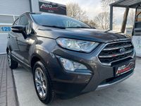 Gebraucht Ford Ecosport Titanium 125 PS (91 kW) 2019 Grau SUV
