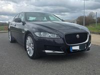 Gebraucht Jaguar XF Pure 163 PS (119 kW) 2016 Blau Limousine