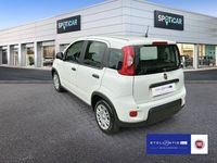 Gebraucht Fiat Panda 69 PS (50 kW) 2024 Gelato weiß Kleinwagen