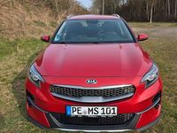 Gebraucht Kia XCeed Vision 136 PS (100 kW) 2020 Rot SUV