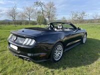 gebraucht Ford Mustang GT Cabrio V8 LED B&O FGS 7 Jahre Premium Paket