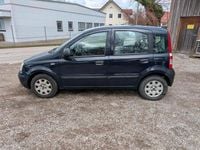 Gebraucht Fiat Panda Active 54 PS (39 kW) 2009 Blau Kleinwagen