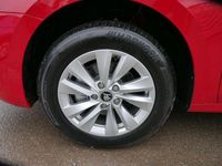 Neu Skoda Octavia Selection 150 PS (110 kW) 2025 Velvetrot metallic Kombi