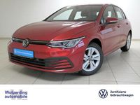 Gebraucht VW Golf VIII Life 110 PS (80 kW) 2022 Kings red (rot), metallic Limousine