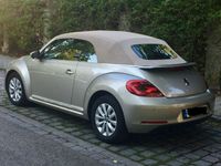 gebraucht VW Beetle NewCabrio (TÜV & Inspektion NEU)