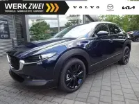 Neu Mazda CX-30 Homura-Line 140 PS (102 kW) 2026 Blau SUV