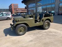 Gebraucht Jeep Willys 54 PS (39 kW) 1953 Grün SUV