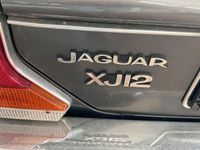 gebraucht Jaguar XJ12 