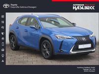 Gebraucht Lexus UX 250h Launch Edition 184 PS (135 kW) 2019 Blau SUV
