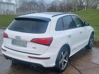 Gebraucht Audi Q5 S-Line 272 PS (200 kW) 2016 Weiß SUV