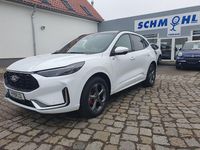 Gebraucht Ford Kuga ST-Line 185 PS (136 kW) 2024 Frozen weiss SUV
