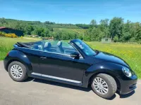 Gebraucht VW Beetle Allstar 105 PS (77 kW) 2016 Schwarz Kleinwagen