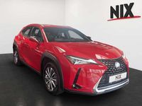 Gebraucht Lexus UX 300e 150 kW (204 PS) 2021 Glutrot SUV