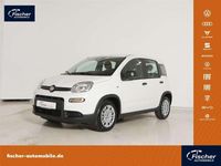 Gebraucht Fiat Panda 69 PS (50 kW) 2024 Gelato weiß Kleinwagen