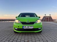 Gebraucht Skoda Citigo Clever 75 PS (55 kW) 2018 Grün Kleinwagen