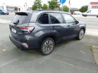 Neu Subaru Forester Platinum 136 PS (100 kW) 2026 Autumn green (m) SUV