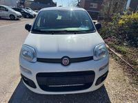 Gebraucht Fiat Panda 69 PS (50 kW) 2017 Weiß Kleinwagen