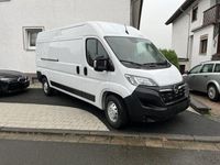Gebraucht Opel Movano Edition 140 PS (102 kW) 2022 Weiss Van