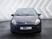 Gebraucht Fiat Punto 69 PS (50 kW) 2014 Colore esterno blu suggestivo Kleinwagen