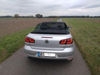 Gebraucht VW Golf Cabriolet 105 PS (77 kW) 2014 Silber Cabrio