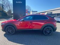 Neu Mazda CX-30 Homura-Line 140 PS (102 kW) 2025 Rot SUV