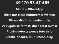 Gebraucht BMW 325 Cabriolet Exclusive 192 PS (141 kW) 2006 Blau Cabrio