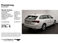Gebraucht Skoda Octavia Selection 116 PS (85 kW) 2025 Candyweiss Kombi
