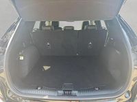 Gebraucht Ford Kuga ST-Line X 150 PS (110 kW) 2024 Agate black metallic SUV