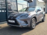 Gebraucht Lexus NX300h 197 PS (144 kW) 2021 Grau SUV