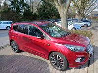 Gebraucht Ford Kuga ST-Line 150 PS (110 kW) 2019 Rot SUV