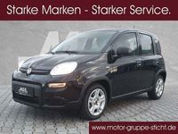Gebraucht Fiat Panda S 69 PS (50 kW) 2024 Cinema schwarz Kleinwagen