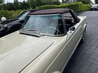 Gebraucht Mercedes 250 150 PS (110 kW) 1967 Beige Cabrio
