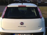 Gebraucht Fiat Punto Evo Active 65 PS (47 kW) 2010 Weiß Kleinwagen