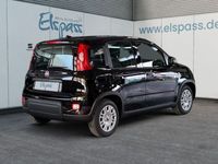 Usata Fiat Panda 69 CV (50 kW) 2024 Nero Utilitaria