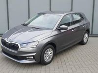 Neu Skoda Fabia Selection 116 PS (85 kW) 2026 Grau Kleinwagen