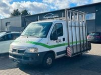 Gebraucht Fiat Ducato 110 PS (80 kW) 2006 Weiß Van