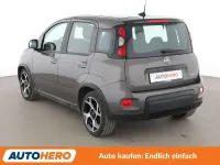 Gebraucht Fiat Panda Sport 69 PS (50 kW) 2021 Grau Kleinwagen