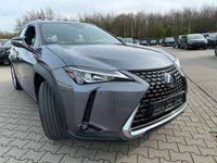 gebraucht Lexus UX 250h Hybrid Luxury Line*Nachlackierungsfrei