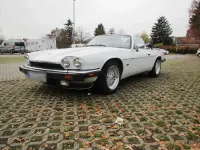 Gebraucht Jaguar XJS 222 PS (163 kW) 1993 Weiß Cabrio