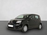Gebraucht Fiat Panda 69 PS (50 kW) 2024 Schwarz Limousine