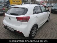 Gebraucht Kia Rio Edition 7 84 PS (61 kW) 2020 Weiß Kleinwagen